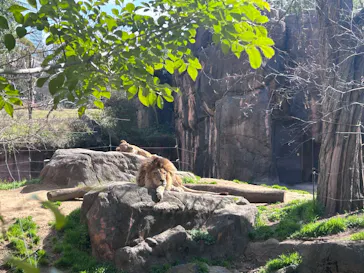 天王寺動物園に投稿された画像（2026/3/8）