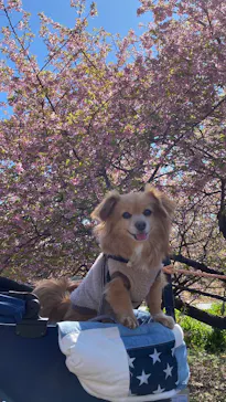 いばらきフラワーパークに投稿された画像（2026/3/8）