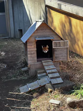 千葉市動物公園に投稿された画像（2026/3/8）