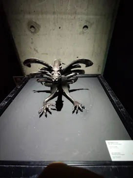 NAKED meets ガウディ展に投稿された画像（2026/3/8）