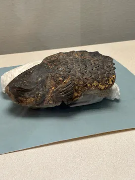 広島城に投稿された画像（2026/3/8）