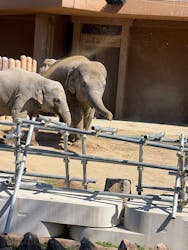 名古屋市東山動植物園に投稿された画像（2026/3/8）