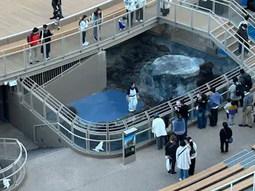 アクアワールド茨城県大洗水族館に投稿された画像（2026/3/8）