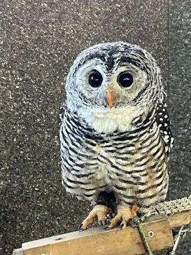 ダチョウ王国石岡ファームに投稿された画像（2026/3/8）