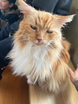 ダチョウ王国石岡ファームに投稿された画像（2026/3/8）