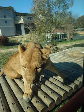 多摩動物公園に投稿された画像（2026/3/8）