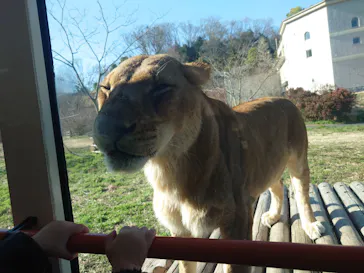 多摩動物公園に投稿された画像（2026/3/8）