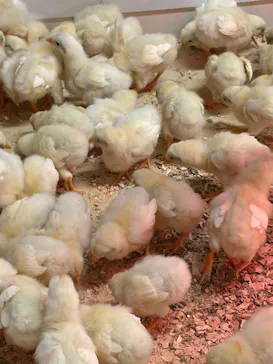 アニタッチ 東京ドームシティに投稿された画像（2026/3/8）