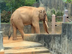 沖縄こどもの国に投稿された画像（2026/3/8）