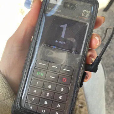 元離宮二条城に投稿された画像（2026/3/8）