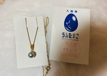 大分マリーンパレス水族館 「うみたまご」に投稿された画像（2026/3/8）