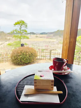 偕楽園本園に投稿された画像（2026/3/8）