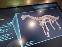 福井県立恐竜博物館に投稿された画像（2026/3/8）