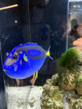 京都水族館に投稿された画像（2026/3/8）