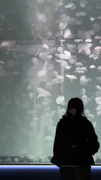 アクアワールド茨城県大洗水族館に投稿された画像（2026/3/8）