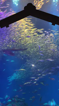 アクアワールド茨城県大洗水族館に投稿された画像（2026/3/8）