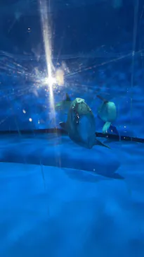 アクアワールド茨城県大洗水族館に投稿された画像（2026/3/8）