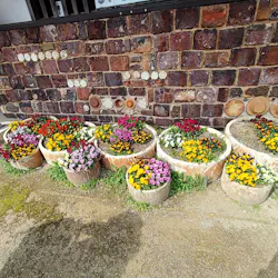 志田焼の里博物館に投稿された画像（2026/3/8）