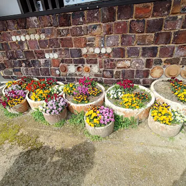 志田焼の里博物館に投稿された画像（2026/3/8）