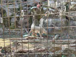 東京動物園協会_多摩動物公園に投稿された画像（2026/3/8）