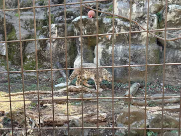 東京動物園協会_多摩動物公園に投稿された画像（2026/3/8）