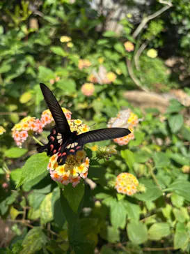 東京動物園協会_多摩動物公園に投稿された画像（2026/3/8）