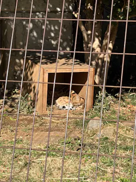 多摩動物公園に投稿された画像（2026/3/8）