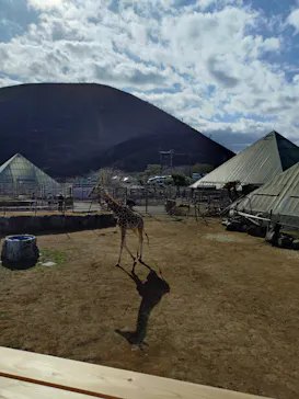 伊豆シャボテン動物公園に投稿された画像（2026/3/8）