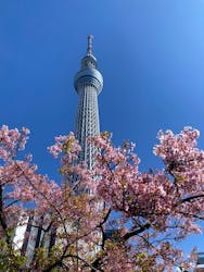 東京スカイツリーに投稿された画像（2026/3/8）