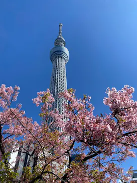 東京スカイツリーに投稿された画像（2026/3/8）