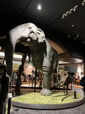 滋賀県立琵琶湖博物館に投稿された画像（2026/3/8）