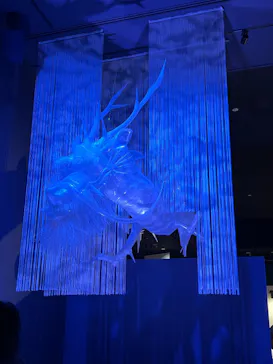 滋賀県立琵琶湖博物館に投稿された画像（2026/3/8）