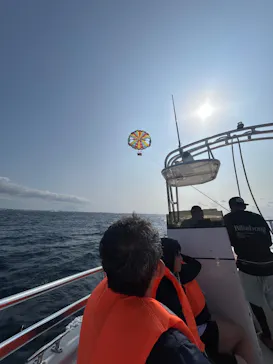 CoCoMarin（ココマリン）に投稿された画像（2026/3/8）