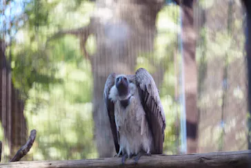 恩賜上野動物園に投稿された画像（2026/3/8）
