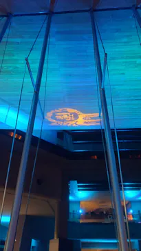 滋賀県立琵琶湖博物館に投稿された画像（2026/3/8）