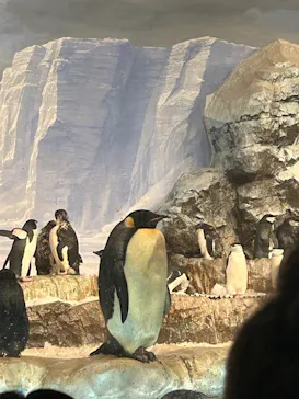 名古屋港水族館に投稿された画像（2026/3/8）