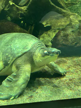 名古屋港水族館に投稿された画像（2026/3/8）