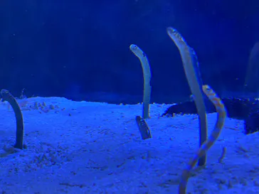 名古屋港水族館に投稿された画像（2026/3/8）