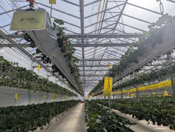 the BERRY YOKOHAMAに投稿された画像（2026/3/8）