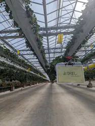 the BERRY YOKOHAMAに投稿された画像（2026/3/8）