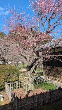 弘道館に投稿された画像（2026/3/8）