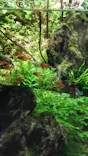 すみだ水族館に投稿された画像（2021/11/28）