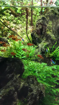 すみだ水族館に投稿された画像（2021/11/28）