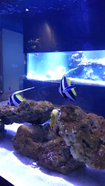 すみだ水族館に投稿された画像（2021/11/28）