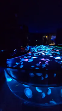 すみだ水族館に投稿された画像（2021/11/28）