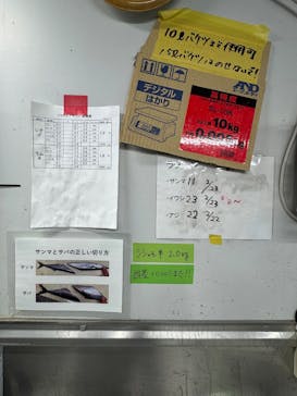 サンシャイン水族館に投稿された画像（2026/3/8）