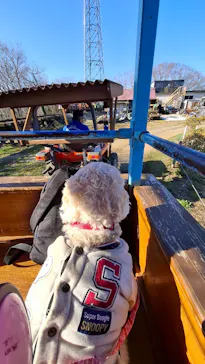 成田ゆめ牧場に投稿された画像（2026/3/8）