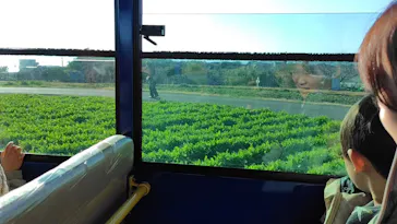 長井海の手公園ソレイユの丘に投稿された画像（2026/3/8）