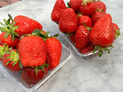 フルーツガーデンゆうに投稿された画像（2026/3/8）