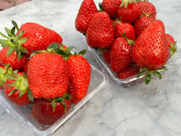 フルーツガーデンゆうに投稿された画像（2026/3/8）